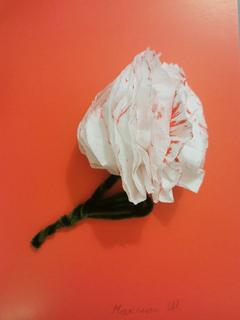 113 Шлык Максим